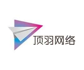 上海顶羽网络科技有限公司